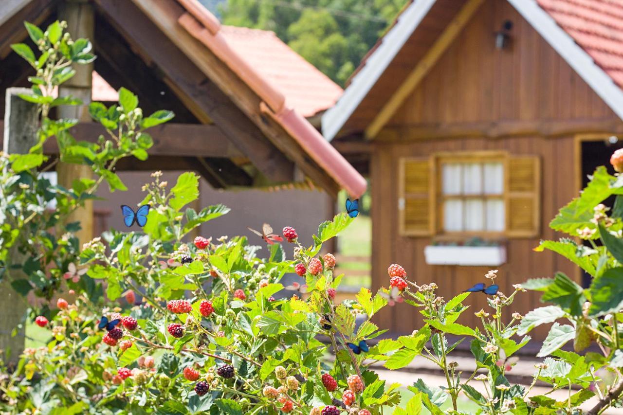 Pousada Rural Pavao - Suites E Chales Urubici Ngoại thất bức ảnh