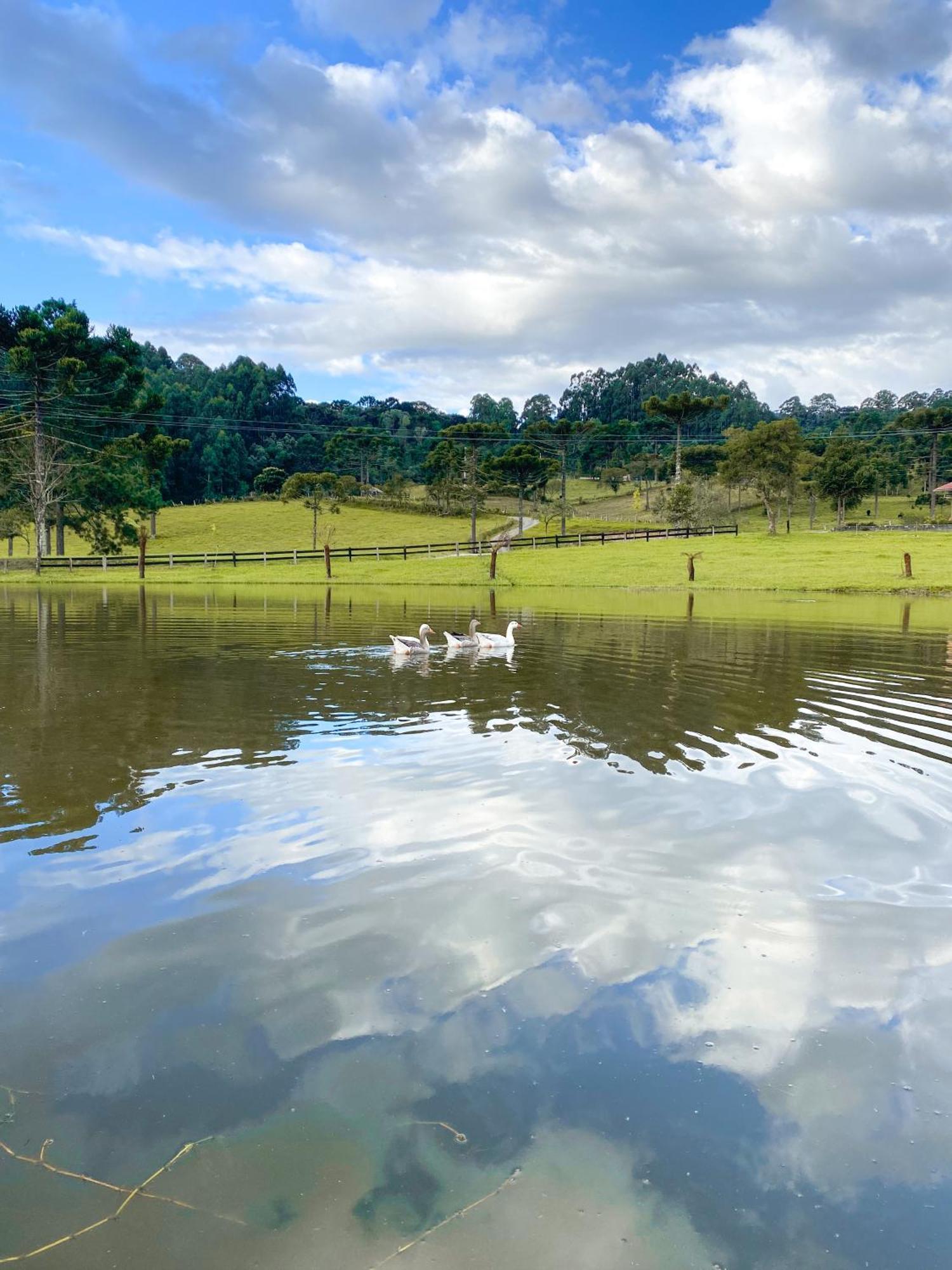Pousada Rural Pavao - Suites E Chales Urubici Ngoại thất bức ảnh